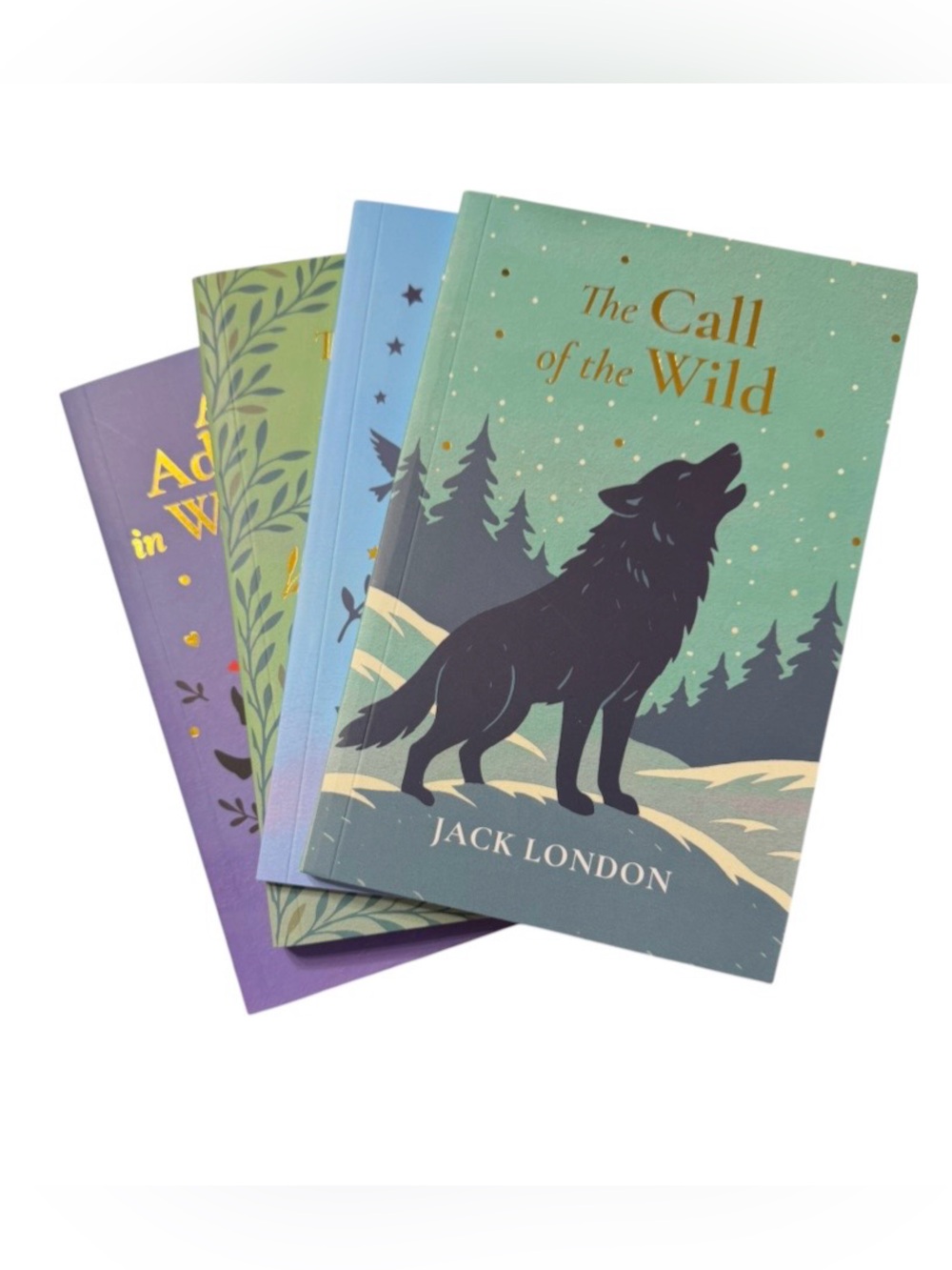Book Set for Teens Set of Four Favorites NEW